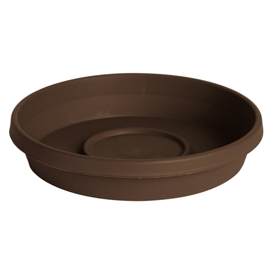 Pots & Planters * | Latest Chocolate Terra Living Plant Saucer, 16