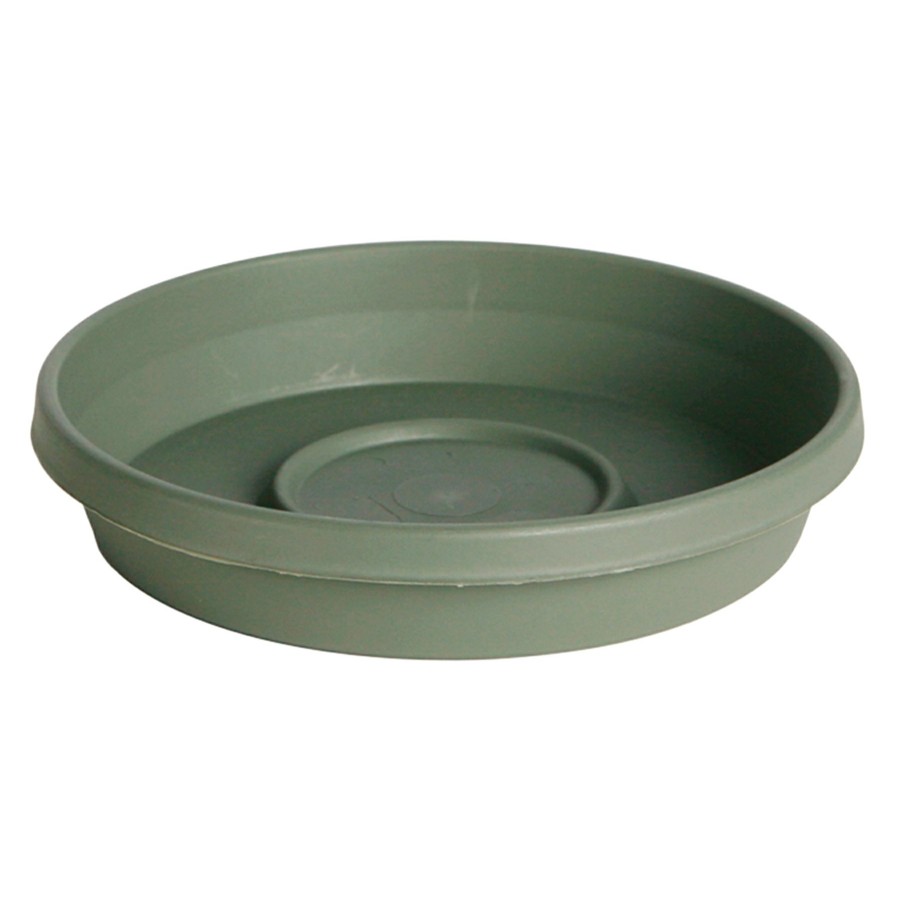 Pots & Planters * | Discount Green Terra Living Plant Saucer, 16