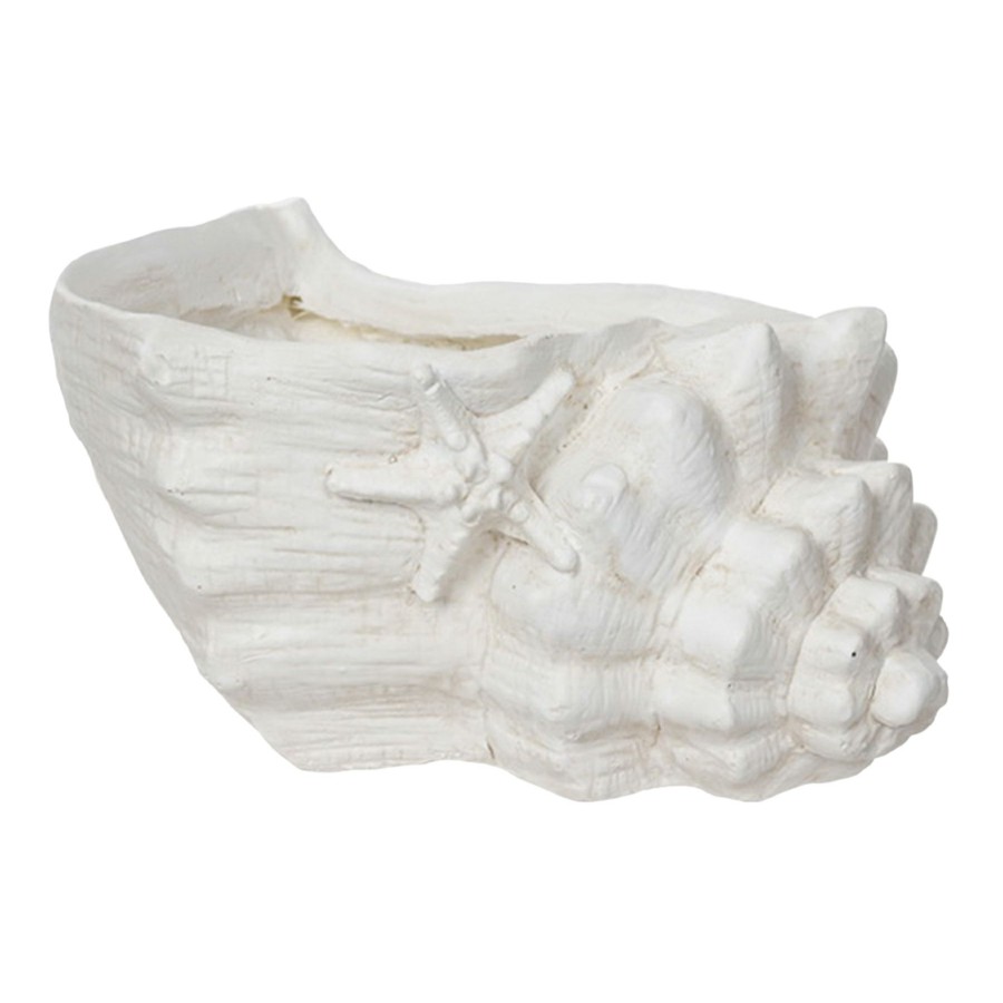 Pots & Planters * | New Threads Ty Pennington Conch Shell Concrete Planter, 6 11