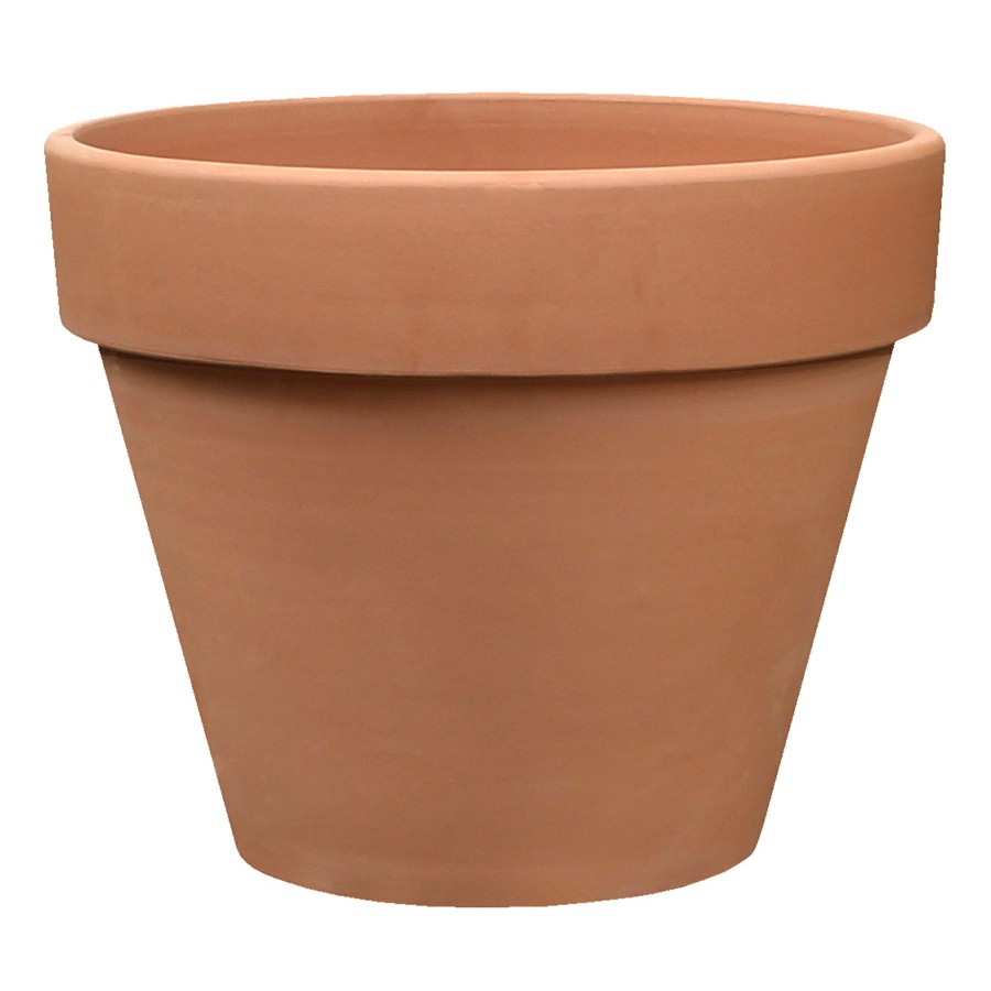 Pots & Planters * | Sale Online Basic Cone Clay Pot, 5.5