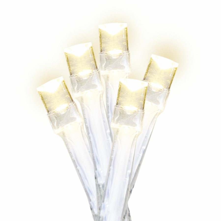 Lighting * | Gift Selection 20-Count Led String Light Set, Battery Operated