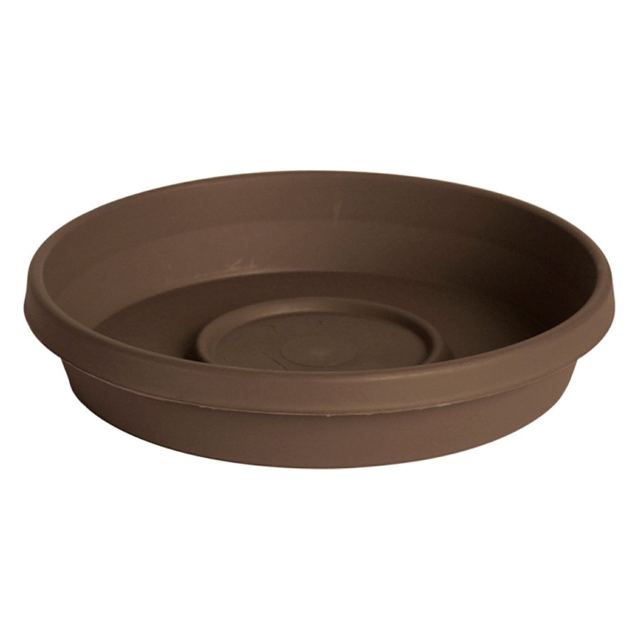 Pots & Planters * | Free Delivery Chocolate Terra Living Plant Saucer, 8